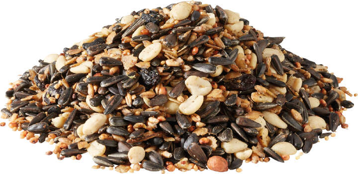 TIERLIEBE Vielfalt für Wildvögel